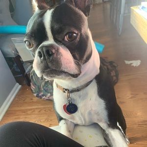 Meet your Posher, Vicky